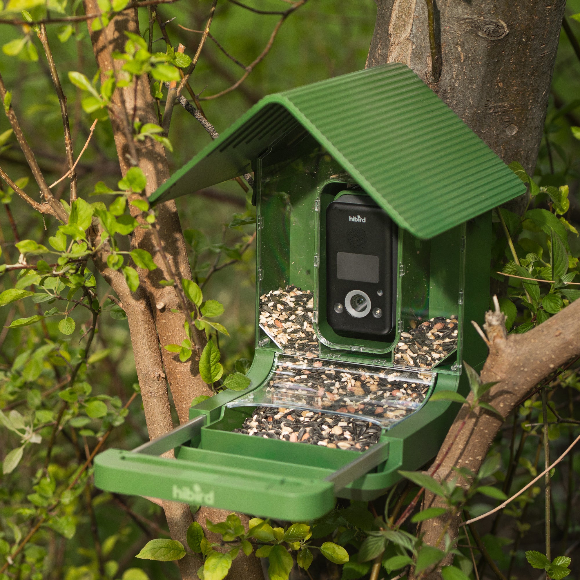 Hibird Smart Bird Feeder Camera