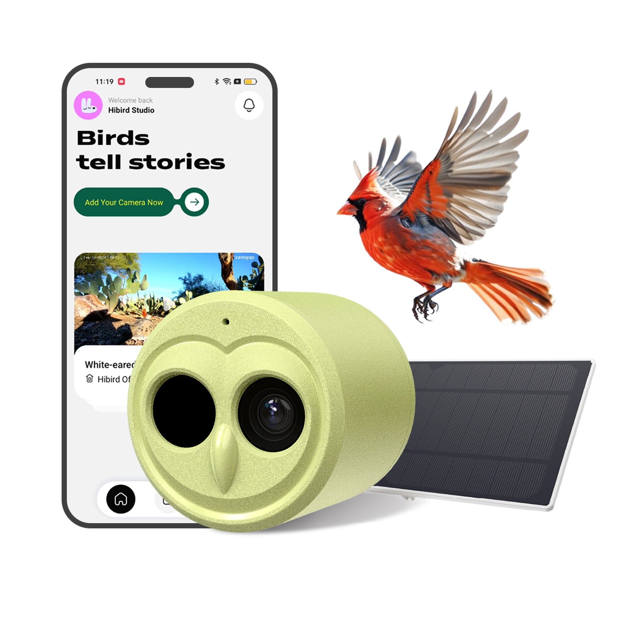 Hibird DIY Smart Bird Camera