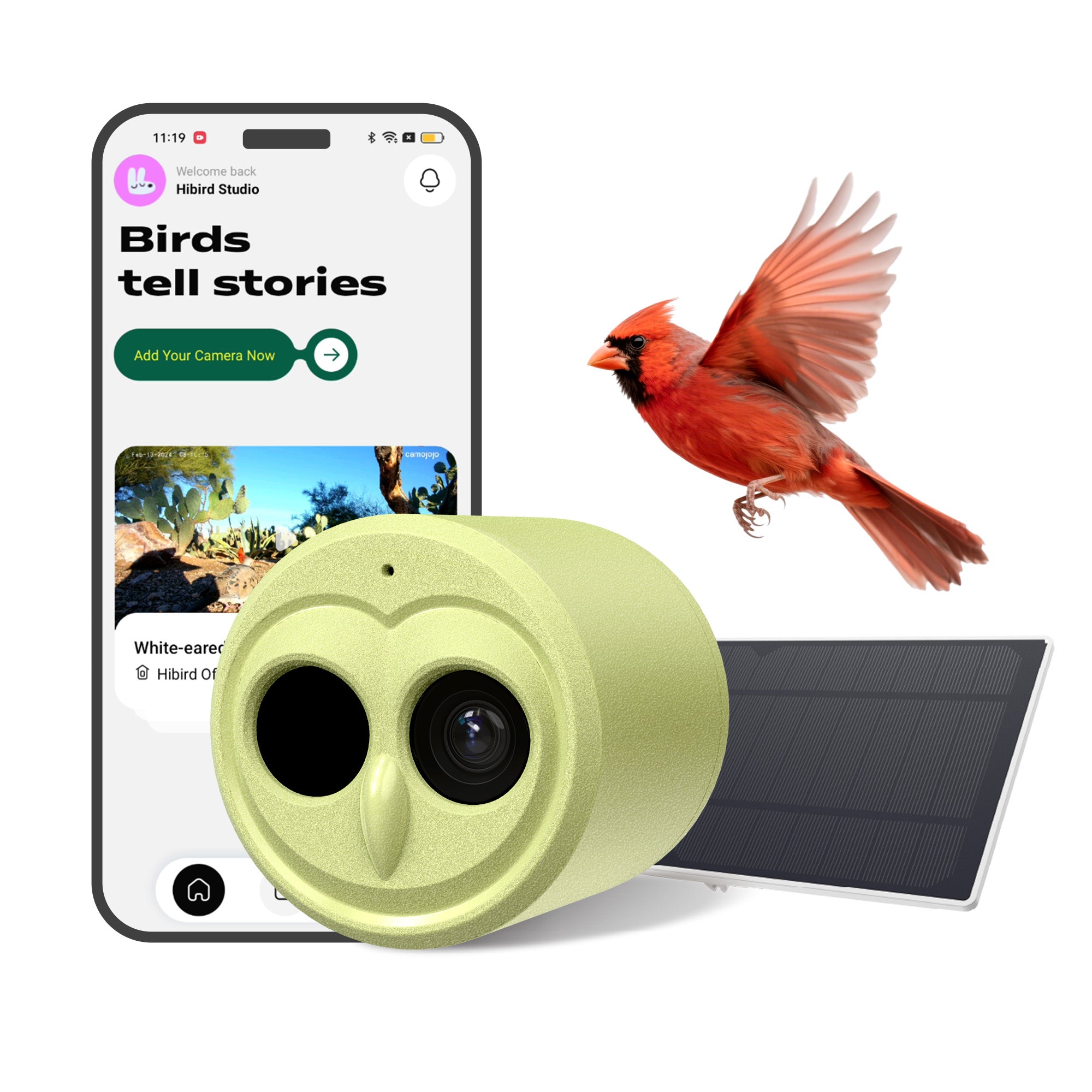 Hibird DIY 4K Smart Bird Watching Camera